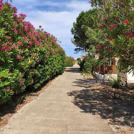 Le Barcarès Coquette Villa De Vacances المظهر الخارجي الصورة