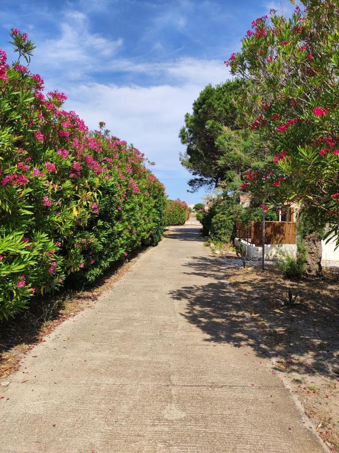 Le Barcarès Coquette Villa De Vacances المظهر الخارجي الصورة